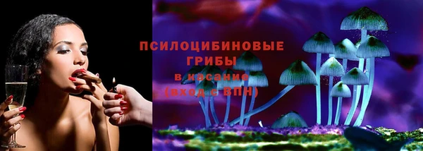 СК Абдулино