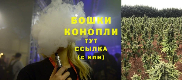 СК Абдулино